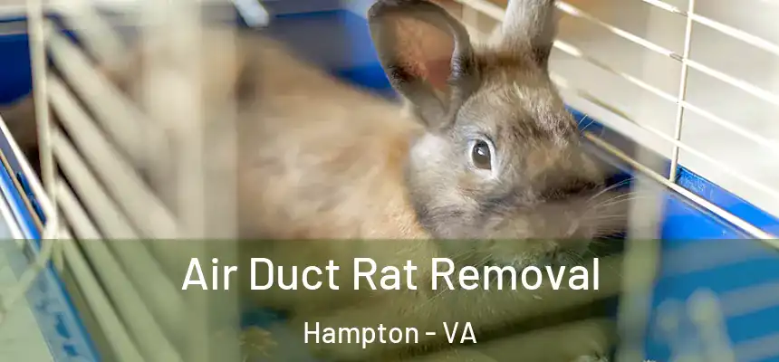  Air Duct Rat Removal Hampton - VA