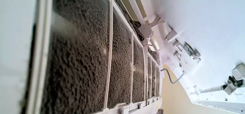 Preventive Air Duct Bacteria Removal in Hampton