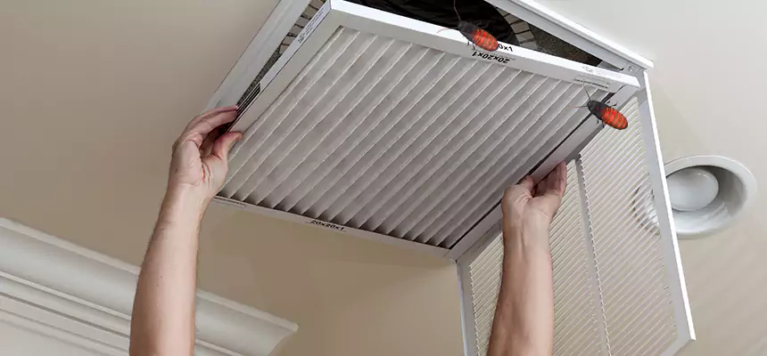 Preventive Cockroach-Proofing for Ducts in Hampton