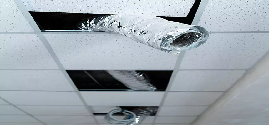 Our Air Duct Pet Hair Removal Services in Hampton, VA