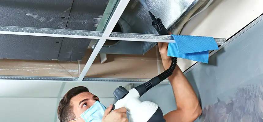 Our Air Duct Rodent Removal Services in Hampton, VA