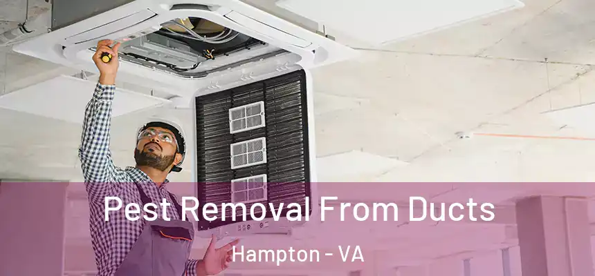  Pest Removal From Ducts Hampton - VA