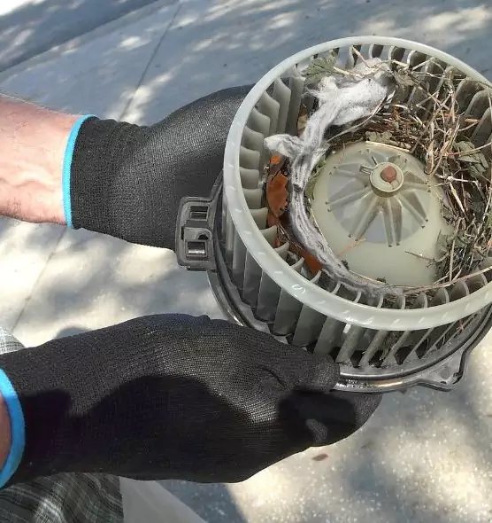 About Air Duct Mice Removal in Hampton, VA