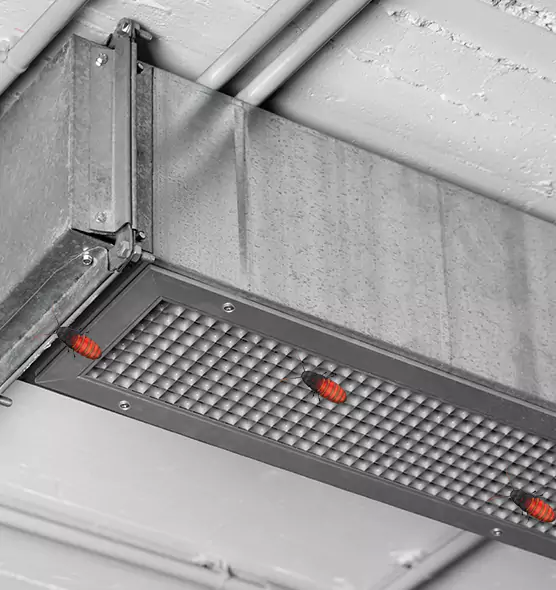 Affordable Insect Removal from Air Ducts in Hampton, VA