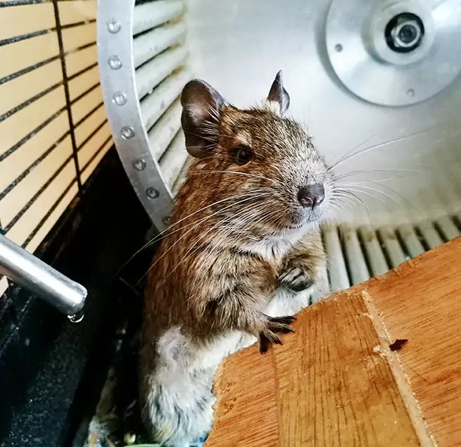 Why Homeowners & Businesses Trust Us Hampton, VA