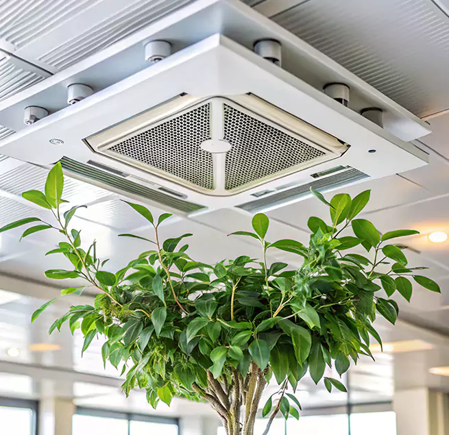 Why Homeowners & Businesses Trust Us in Hampton, VA?