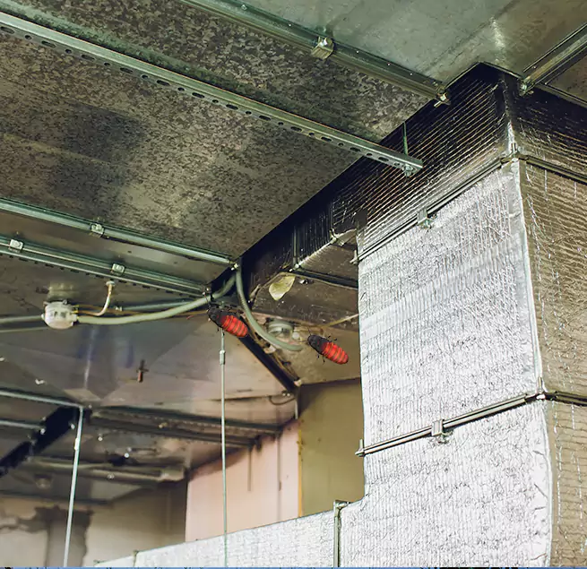 Why Homeowners & Businesses Trust Us Hampton, VA?